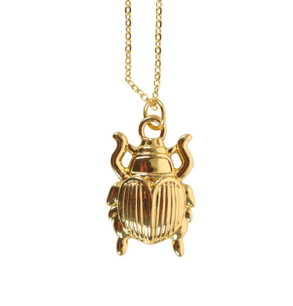 Lucky Beetle Necklace Card